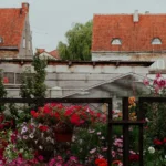 Kolekcja łatwych w uprawie roślin doniczkowych w różnych rozmiarach i kształtach