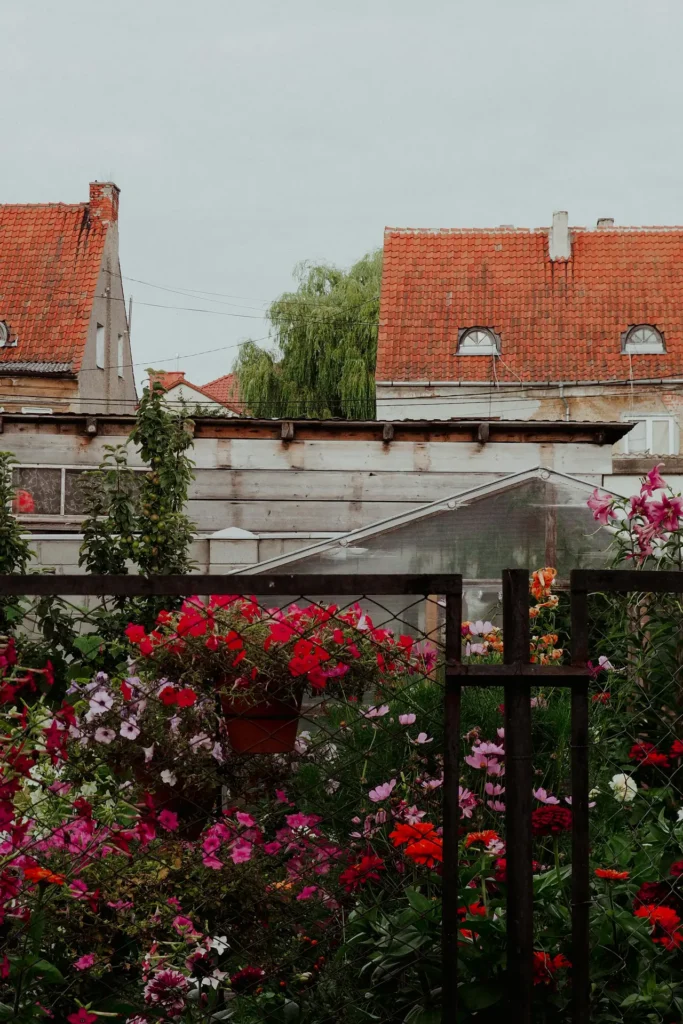 Kolekcja łatwych w uprawie roślin doniczkowych w różnych rozmiarach i kształtach